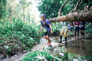 BIB: 
                            <button type="button" onclick="openModal(25459215)" class="btn btn-primary btn-sm float-right btn-popup" data-toggle="modal" data-target=".modal-high-quality">
                        <i class="fas fa-shopping-cart"></i> Add to Cart
                    </button>
                                            <button type="button" onclick="isThisMe(25459215, true)" class="btn btn-success btn-sm float-right btn-popup btn-isme hidden" data-toggle="tooltip" data-placement="bottom" title="นี่คือรูปของคุณใช่ไหม คลิกที่นี่เพื่อเอาเข้าอัลบั้ม">
                        <i class="fas fa-plus"></i> Add to album
                    </button>
                    <button type="button" onclick="isThisMe(25459215, false)" class="btn btn-warning btn-sm float-right btn-popup btn-isnotme hidden">
                        <i class="fas fa-ban"></i> Remove from album
                    </button>